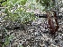  ( - HAY-F-007757)  @11 [ ] by-nc (2023) Damon Tighe Fungal Diversity Survey