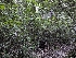  ( - HAY-F-008001)  @11 [ ] by-nc (2023) Warren Cardimona Fungal Diversity Survey