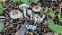  ( - HAY-F-002299)  @11 [ ] by-nc (2023) Thea Chesney Fungal Diversity Survey