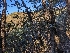  ( - HAY-F-007992)  @11 [ ] by-nc (2023) Warren Cardimona Fungal Diversity Survey