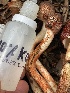  ( - FDS-CA-00523)  @11 [ ] by-nc (2024) Damon Tighe Fungal Diversity Survey