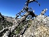  ( - FDS-CA-00546)  @11 [ ] by-nc (2024) Damon Tighe Fungal Diversity Survey