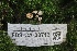  ( - FDS-CA-00713)  @11 [ ] by-nc (2024) Taye Bright Fungal Diversity Survey