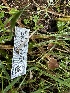  ( - FDS-CA-01977)  @11 [ ] by-nc (2024) Aaron Tupac Fungal Diversity Survey