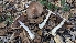  ( - FDS-CA-01745)  @11 [ ] c (2024) Michelle C. Torres-Grant Fungal Diversity Survey
