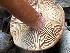  ( - FDS-CA-02000)  @11 [ ] by-nc (2024) Aaron Tupac Fungal Diversity Survey