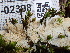  ( - FDS-CA-02398)  @11 [ ] by-nc (2024) Jaren Hockert Fungal Diversity Survey