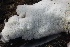  ( - FDS-CA-00784)  @11 [ ] by-nc (2024) Taye Bright Fungal Diversity Survey