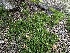  ( - FDS-CA-01803)  @11 [ ] by-nc (2024) Aaron Tupac Fungal Diversity Survey