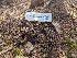 ( - FDS-CA-01467)  @11 [ ] by-nc (2024) Stu Pickell Fungal Diversity Survey