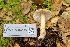  ( - FDS-CA-03430)  @11 [ ] by-nc (2024) Fresno Mycology Society Fungal Diversity Survey