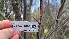  ( - FDS-CA-03436)  @11 [ ] by-nc (2024) Fresno Mycology Society Fungal Diversity Survey