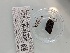  ( - FDS-CA-01309)  @11 [ ] by-nc (2024) Stu Pickell Fungal Diversity Survey