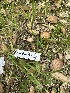  ( - FDS-CA-02054)  @11 [ ] by-nc (2024) Bat Vardeh Fungal Diversity Survey