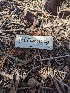  ( - FDS-CA-03639)  @11 [ ] by-nc (2024) Stu Pickell Fungal Diversity Survey