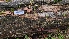  ( - FDS-CA-03455)  @11 [ ] by-nc (2024) Fresno Mycology Society Fungal Diversity Survey