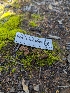 ( - FDS-CA-03646)  @11 [ ] by-nc (2024) Stu Pickell Fungal Diversity Survey