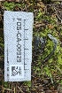  ( - FDS-CA-00929)  @11 [ ] by-nc (2024) Taye Bright Fungal Diversity Survey