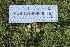  ( - FDS-CA-00930)  @11 [ ] by-nc (2024) Taye Bright Fungal Diversity Survey