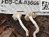  ( - FDS-CA-03666)  @11 [ ] by-nc (2024) Stu Pickell Fungal Diversity Survey