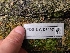  ( - FDS-CA-03497)  @11 [ ] by-nc (2024) Fresno Mycology Society Fungal Diversity Survey