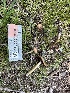  ( - FDS-CA-04295)  @11 [ ] by-nc (2024) Aaron Tupac Fungal Diversity Survey