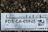  ( - FDS-CA-00948)  @11 [ ] by-nc (2024) Taye Bright Fungal Diversity Survey