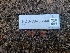  (Genea arenaria - FDS-CA-03540)  @11 [ ] by-nc (2024) Fresno Mycology Society Fungal Diversity Survey