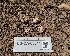  ( - FDS-CA-03544)  @11 [ ] by-nc (2024) Fresno Mycology Society Fungal Diversity Survey