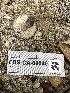  ( - FDS-CA-02040)  @11 [ ] by-nc (2024) Bat Vardeh Fungal Diversity Survey