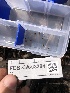  ( - FDS-CA-03304)  @11 [ ] by (2024) Justin Paulin Fungal Diversity Survey