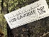  ( - FDS-CA-02058)  @11 [ ] by-nc (2024) Bat Vardeh Fungal Diversity Survey
