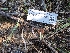  ( - FDS-CA-03736)  @11 [ ] by-nc (2024) Stu Pickell Fungal Diversity Survey