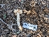  ( - FDS-CA-03756)  @11 [ ] by-nc (2024) Stu Pickell Fungal Diversity Survey