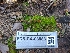  ( - FDS-CA-03583)  @11 [ ] by-nc (2024) Fresno Mycology Society Fungal Diversity Survey