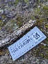  ( - FDS-CA-03691)  @11 [ ] by-nc (2024) Stu Pickell Fungal Diversity Survey