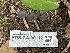  ( - FDS-CA-00112)  @11 [ ] by-nc (2024) Taye Bright Fungal Diversity Survey