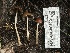  ( - FDS-CA-00120)  @11 [ ] by-nc (2024) Taye Bright Fungal Diversity Survey