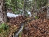  ( - FDS-CA-04206)  @11 [ ] by-nc (2024) Fresno Mycology Society Fungal Diversity Survey