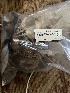  ( - FDS-CA-04791)  @11 [ ] by-nc (2024) Dean Lyons Fungal Diversity Survey