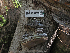  ( - FDS-CA-04265)  @11 [ ] by-nc (2024) Fresno Mycology Society Fungal Diversity Survey