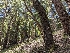  ( - FDS-CA-00610)  @11 [ ] by-nc (2024) Warren Cardimona Fungal Diversity Survey