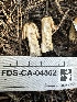  ( - FDS-CA-04562)  @11 [ ] by-nc (2024) Bat Vardeh Fungal Diversity Survey