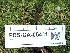  ( - FDS-CA-05411)  @11 [ ] by-nc (2024) Taye Bright Fungal Diversity Survey