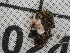 ( - FDS-CA-02481)  @11 [ ] by-nc (2024) Jaren Hockert Fungal Diversity Survey