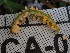  (Melampsorella - FDS-CA-02439)  @11 [ ] by-nc (2024) Jaren Hockert Fungal Diversity Survey