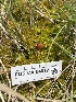  ( - FDS-CA-04812)  @11 [ ] by-nc (2024) Dean Lyons Fungal Diversity Survey