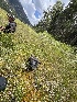  ( - FDS-CA-04811)  @11 [ ] by-nc (2024) Dean Lyons Fungal Diversity Survey