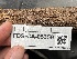  ( - FDS-CA-05359)  @11 [ ] by-nc (2024) Damon Tighe Fungal Diversity Survey