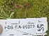  ( - FDS-CA-05372)  @11 [ ] by-nc (2024) Damon Tighe Fungal Diversity Survey